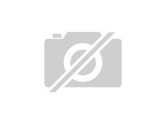 Suche einen mänlichen dunklen tigerpython